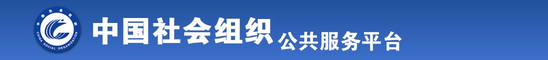 男女考比视频全国社会组织信息查询